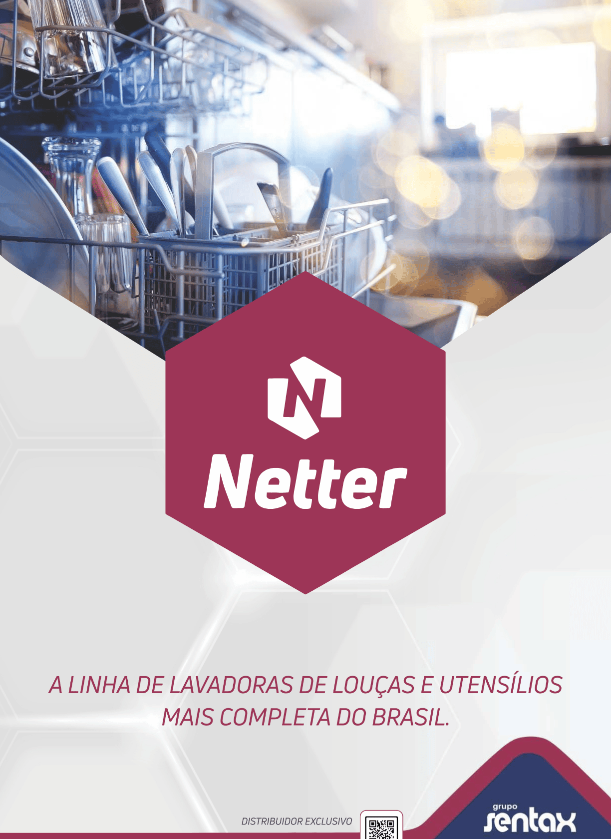 Capa-folder-Netter